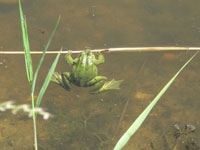 Informationen Coronavirus